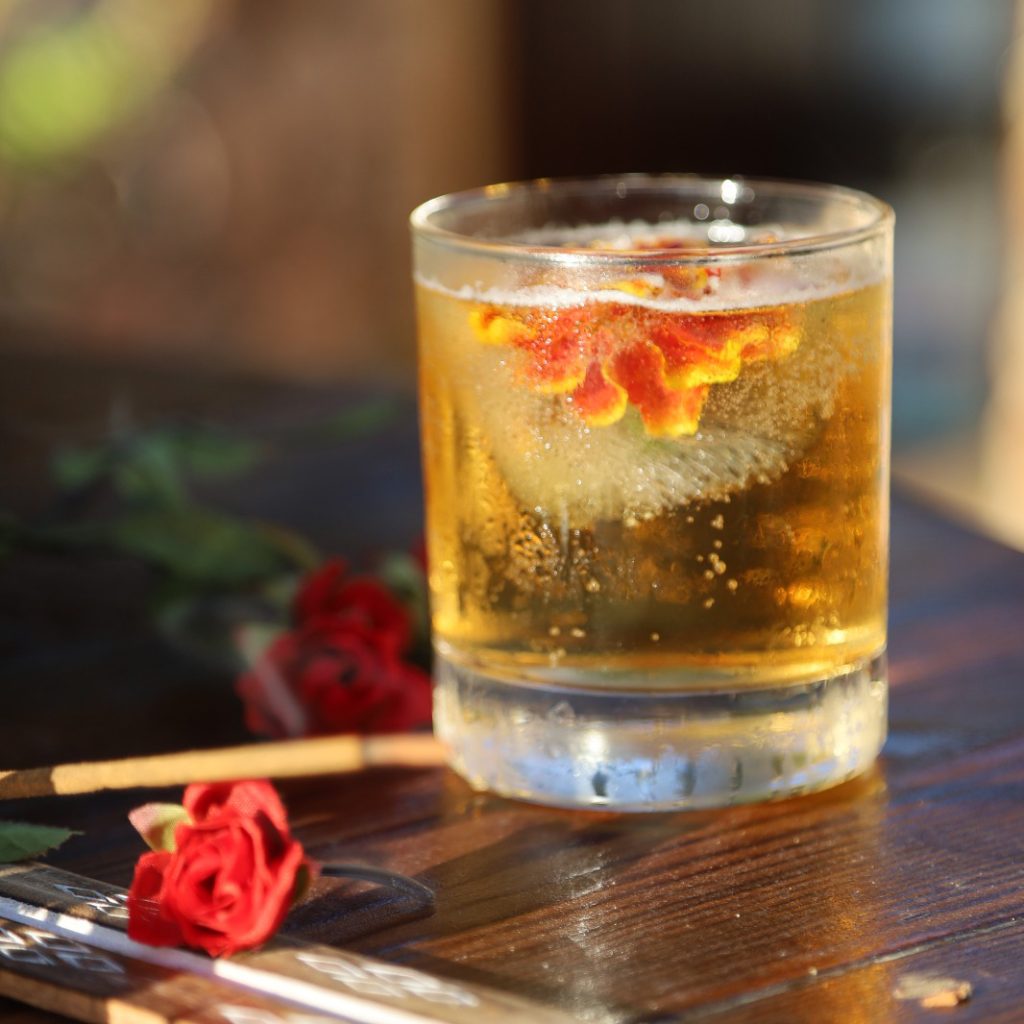 Imagem WhatsApp 2025-07-01 às 11.41.37_ed34804d copiar